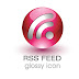 Free Download Rss Feed Glossy Icon