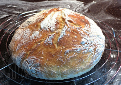 no knead bread