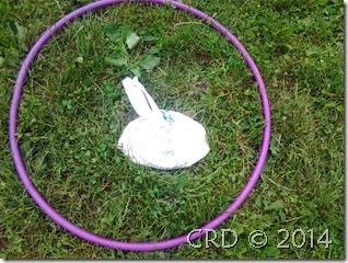 2014-06-24 10.55.40