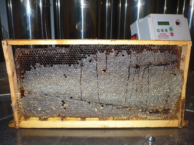 Πωλείται ελατίσιο μέλι φετινής παραγωγής σε τιμές χονδρικής