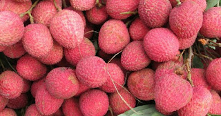 shai-litchi-was-exported-to-britain