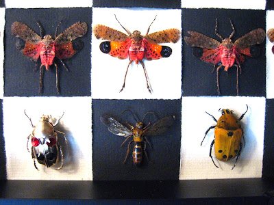 insect art