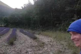 Watch video on youtube lavender field