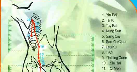 FUNGSI ORGAN DAN PENYAKIT YANG TERKAIT: Titik penting 