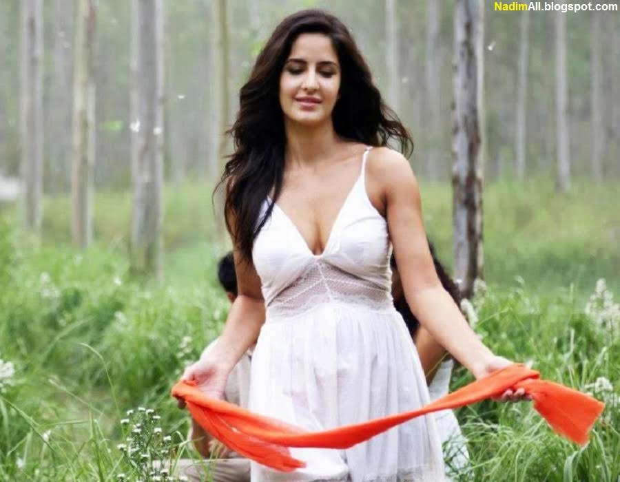 katrina-kaif-hot-2013