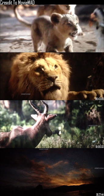 The Lion King (2019) Dual Audio Hindi 720p 480p 1080p Movie Mkv
