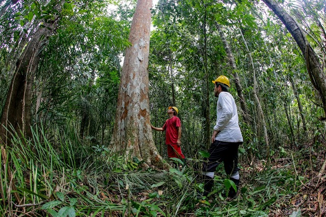 Projeto Rondônia Sustentável apresenta estratégias para conservação e desenvolvimento ambiental