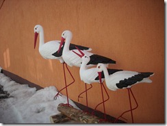 Plastik Storch
