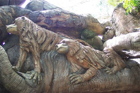 The Tree of Life at Disneys Animal Kingdom 11