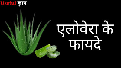 Aloe Vera ke fayde in Hindi