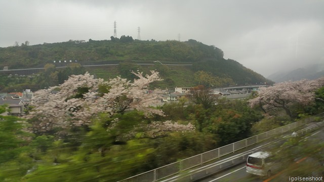 Odakyu Limited Express 