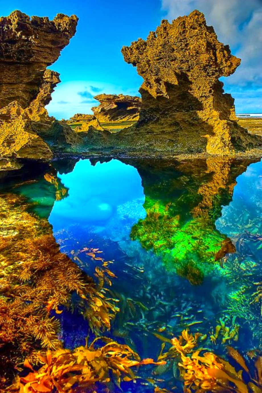 Sorrento Beach, Australia  | Australia the perfect land photography lovers