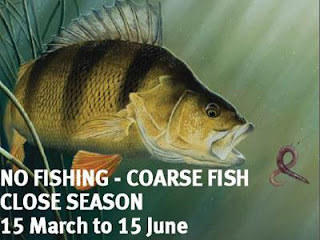 coarse fishing season
