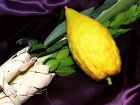 Lulav and Esrog. 