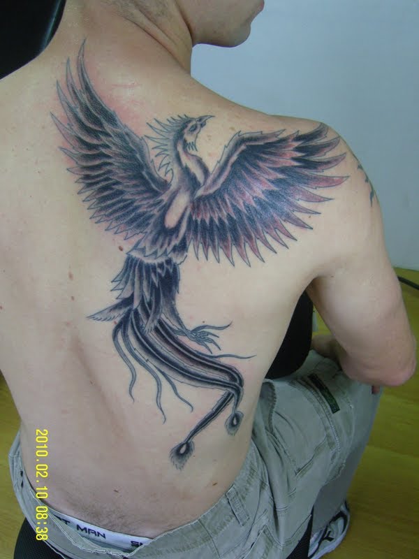 Marcadores FENIX TATTOO FENIX TATUAGEM DE FENIX