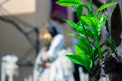 Jesús del Soberano Poder