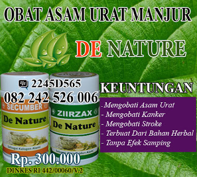 obat asam urat cni