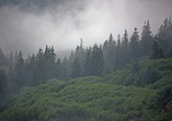 IMG_9861