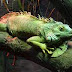 Reduza o tamanho de fotos com o Compressor.io