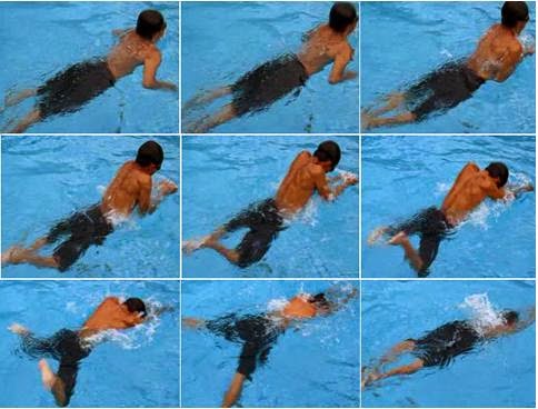 olahraga teknik berenang