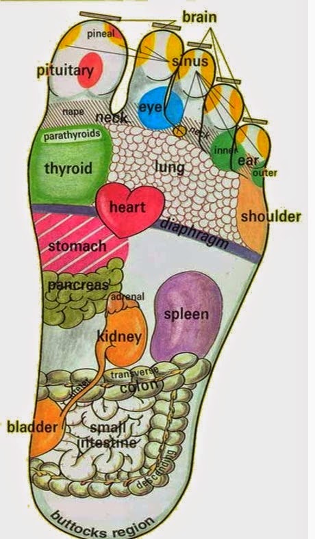 Kesehatan itu Harta : Pijat Titik Refleksi Kaki