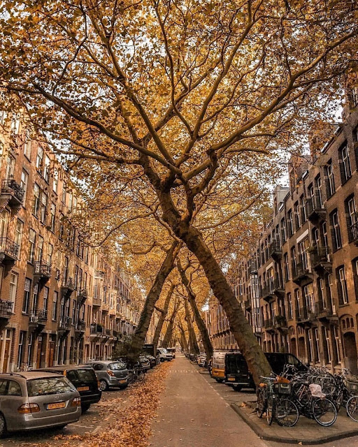 Lomanstraat Street, Amsterdam