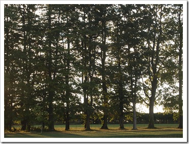 P8026026