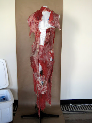 Lady Gaga Meat Dress