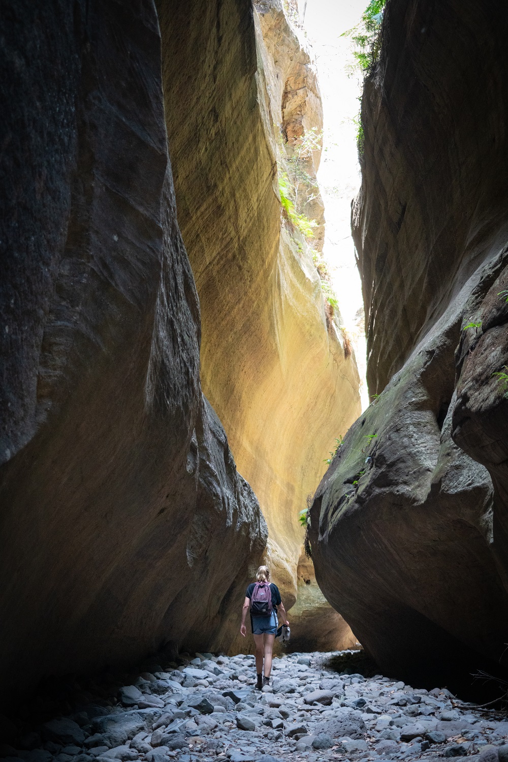 11 GUIDED WILDERNESS WALKS IN QUEENSLAND'S NATIONAL PARKS