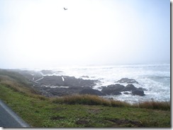 DSC01831