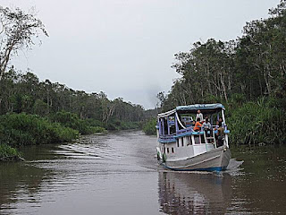 Taman Nasional Tanjung Puting