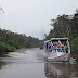 Eksotisme Tempat Wisata Taman Nasional Tanjung Puting Kalimantan Tengah