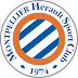 Daftar Pemain Skuad Montpellier HSC 2016/2017