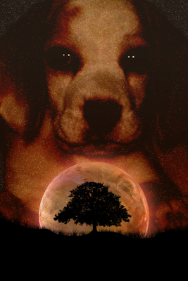 Perro arbol photoshop