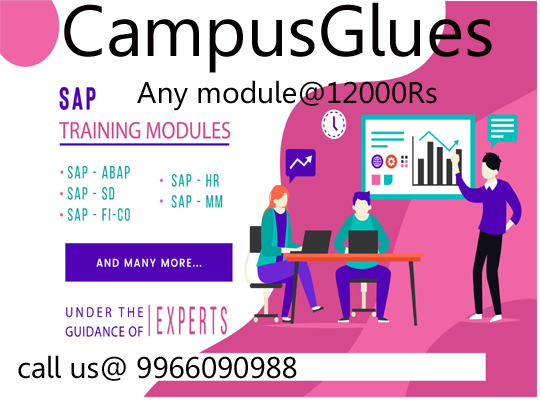 sap institutes in guntur sap course in guntur sap training in guntur