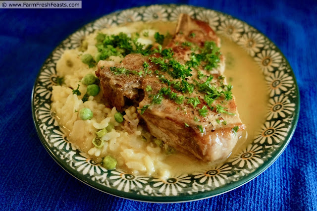 image of a plate of Instant Pot Pork Chops with a Dijon pan sauce, served along with Instant Pot Spring Risotto