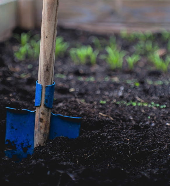 weed-free garden