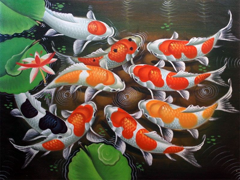 21 Lukisan Dinding Ikan Koi 3d Rudi Gambar