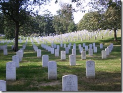 IMGP2167