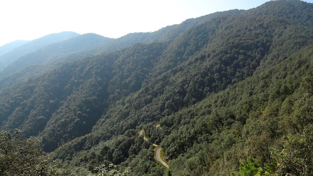 Forest road in Khirsu