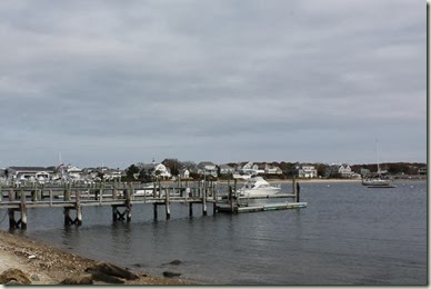 IMG_1623_1024x683