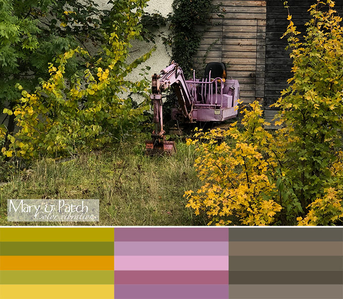 Maryandpatch, Color Vibrations, photo, inspiration, palette