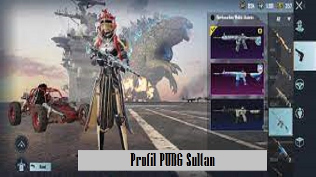  Hmm apakah anda ingin mengganti avatar pada akun PUBG Mobile dengan foto sendiri Profil PUBG Sultan 2022