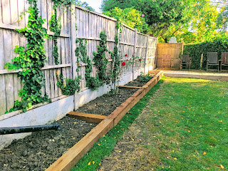 Raised beds on the sunny side of the garden