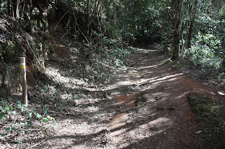 PR-TF-12 BAJAMAR A LA CRUZ DEL CARMEN, sendero a la Cruz del Carmen