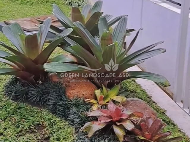 Jasa Taman Brebes Profesional - Harga Pembuatan Landscape Taman