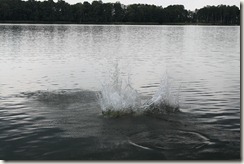 IMG_2128