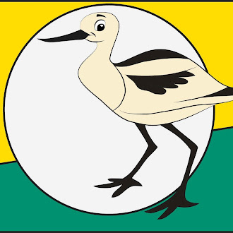 Royalty Free Avocat Bird Illustration 