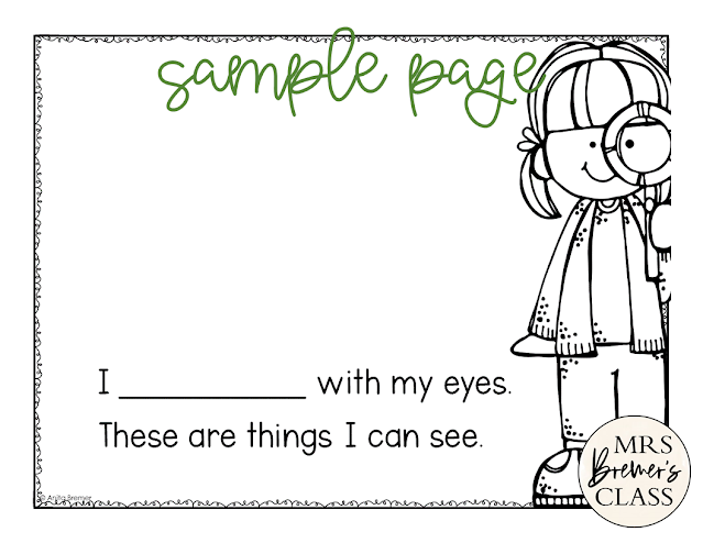Five Senses activities unit with worksheets, Mr Potato Head craftivity, booklets & posters for the 5 senses in Kindergarten and First Grade