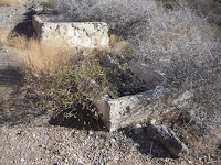 Cement water trough at Hackberry Spring Nevada